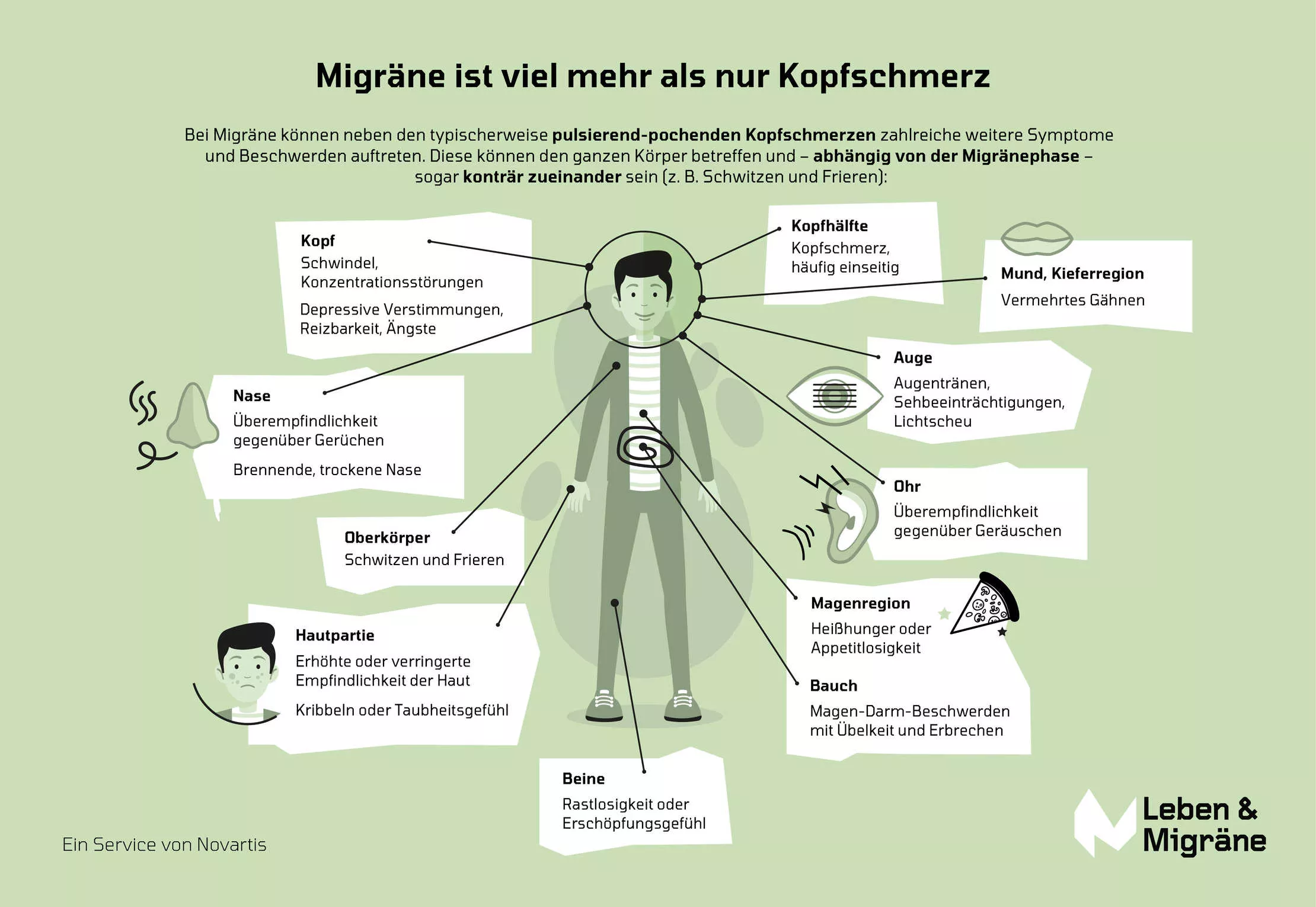 Die Grafik zeigt mehrere Symptome einer Migräne