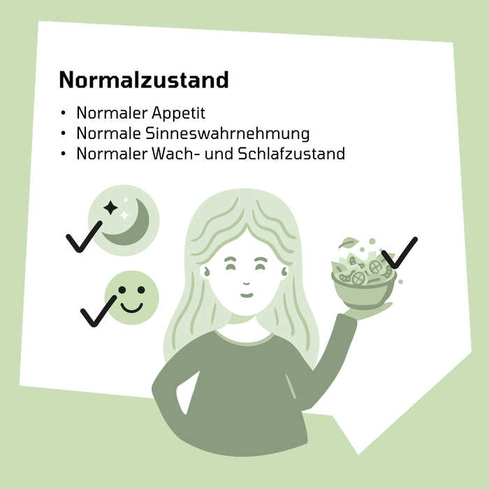 Grafik Migräne: Migränephasen Die Grafik zeigt einen Normalzustand ohne Migräne.