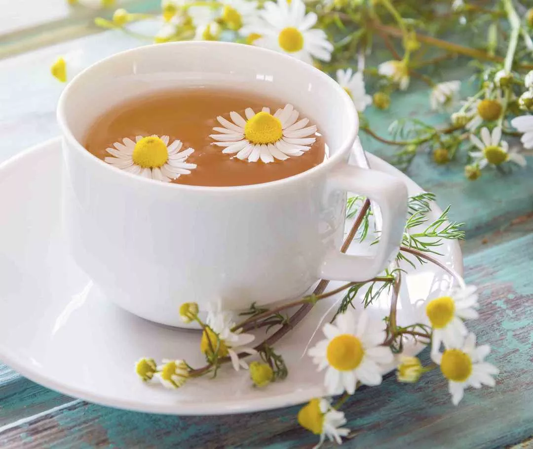 Als Hausmittel gegen Migräne eine Tasse Kamillentee